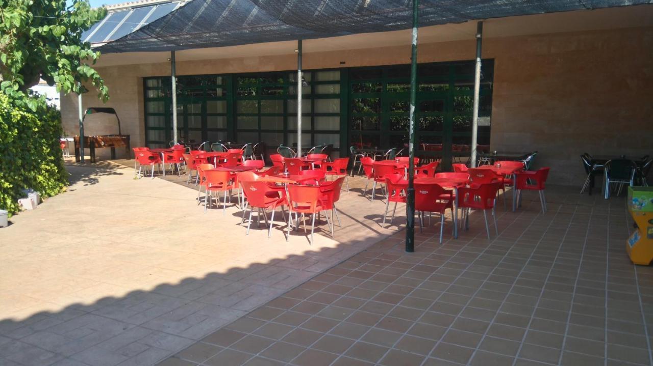 Camping Alberg Municipal Tivissa Zewnętrze zdjęcie